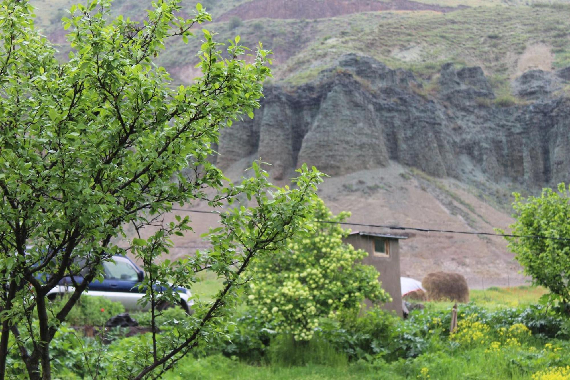 Tirebi Farmhouse Vardzia  Εξωτερικό φωτογραφία