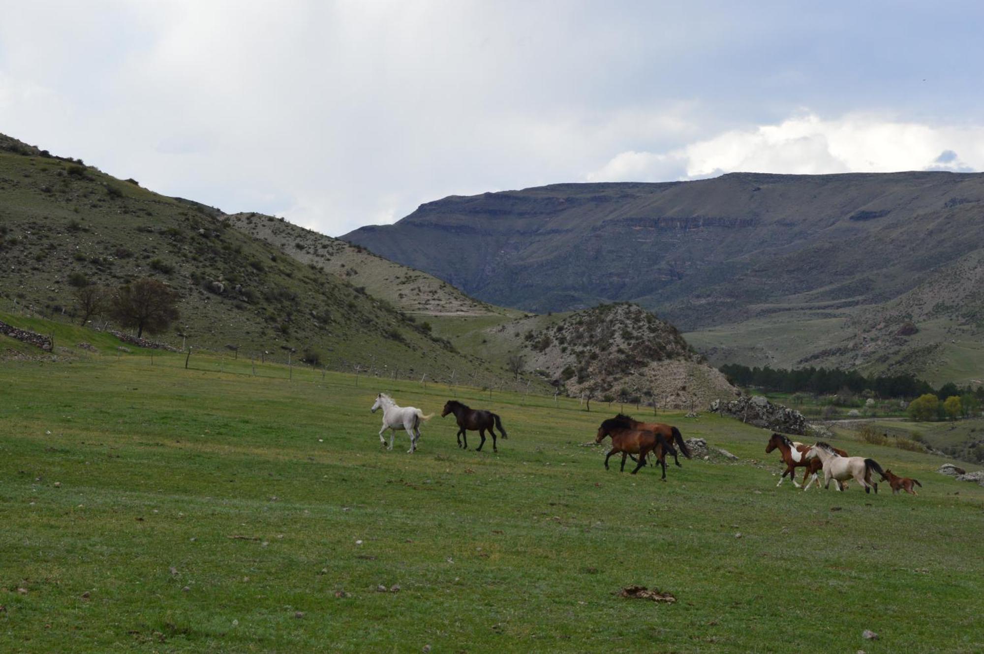 Tirebi Farmhouse Vardzia  Εξωτερικό φωτογραφία